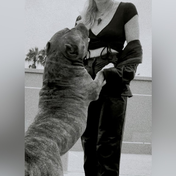 Meet your Posher, Catherine - Picture 5 of 9